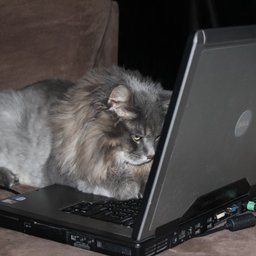 computing