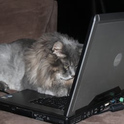 computing