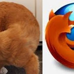 firefox